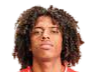 https://img.jzzzjm.com/img/football/player/135ad8787fd13961a93e165e79e736ff.png