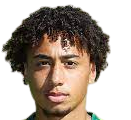 https://img.jzzzjm.com/img/football/player/347a6d58ae7ec0425a4d42bc9215c411.png