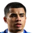 https://img.jzzzjm.com/img/football/player/bd7833ad28a23f00751787d125266400.png